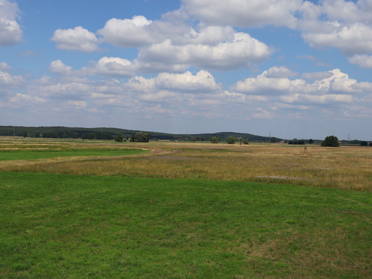 Vogelschau auf den Ungeheuerwiesen Blankensee mit Turm